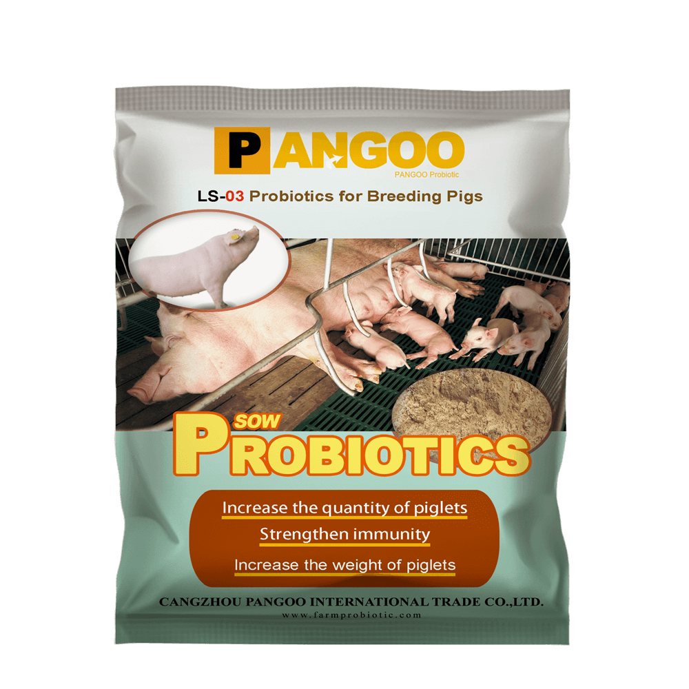 Probiotics for Breeding Pigs