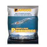 AQA/03 Золотая раковина