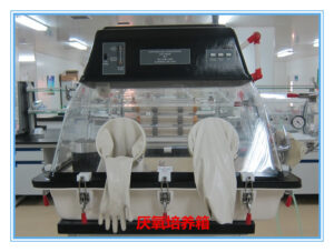 anaerobic incubator