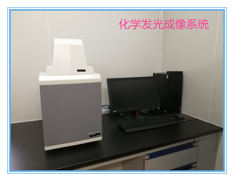 chemiluminescence imaging system