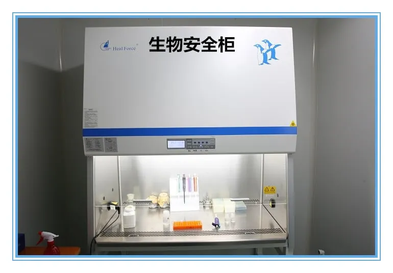 Biological safety cabinet for microbiological strain work at Pangoo